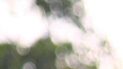 chicharito muestra cómo fue su mudanza a los angeles