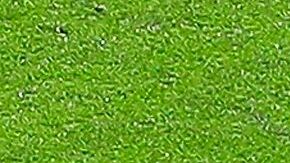 Los penales son la especialidad de Raúl JIménez.