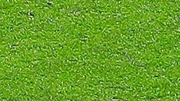 Los penales son la especialidad de Raúl JIménez.