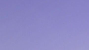 Julio César Chávez