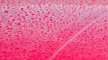 Las acciones de la empresa subieron hasta un 350% después de anunciar que se venderán en EE.UU. (Imagen con fines ilustrativos).