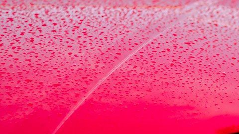 Las acciones de la empresa subieron hasta un 350% después de anunciar que se venderán en EE.UU. (Imagen con fines ilustrativos).