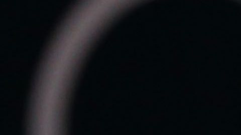 Karolina Sevastyanova y conor mcgregor