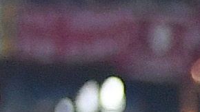 kinsey wolanski bikini