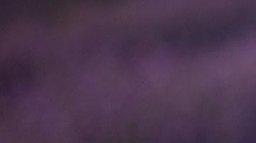 La lavanda posee propiedades relajantes y energéticas.