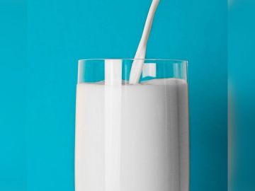 La leche es un buen alimento que actúa como un potente prebiótico.