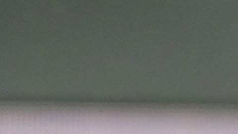 luis muriel atalanta