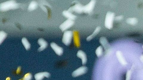 Real Madrid, campeón de España.