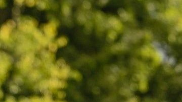 Las mujeres de estos signos son muy cautivadoras.