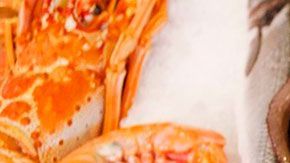 Hya peces que antes se vendían a $30 dólares, y ahora están a menos de $1 dólar.