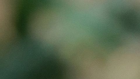 Meghan Markle y el príncipe Harry