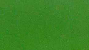 El gran Lionel Messi.