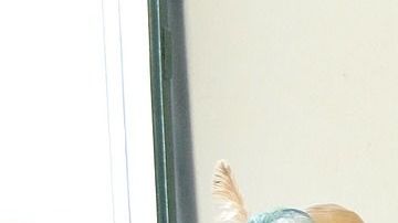 Representaciones de algunas deidades orishas.