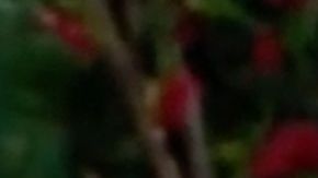 Pati Chapoy, conductora principal de "Ventaneando"