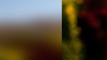 Este ingrediente hace toda la diferencia que hace que unos prefieran una bebida sobre la otra.