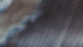 La ayuda económica planteada sería también de hasta $1,200 dólares.