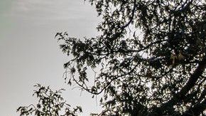 El hombre padece una enfermedad mental que causó su desaparición en los últimos meses.