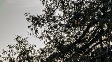 El hombre padece una enfermedad mental que causó su desaparición en los últimos meses.