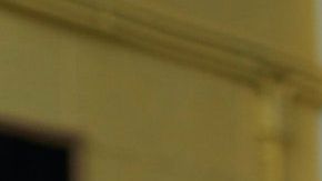 Hay cualidades de tu signo que la gente desea tener.