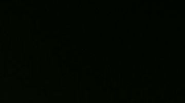 Los mosquitos Aedes,, como este, pueden transmitir los peligrosos virus del Zika, dengue y Chikungunya.