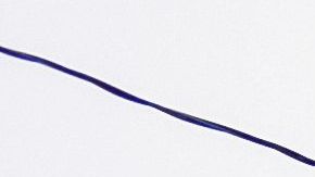 Policía de Nassau, Long Island (NY)