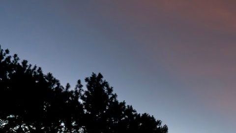 Antes y después, el lago Lonar de la India evidencia un cambio de color.