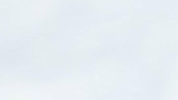 No se sabe si el animal sobrevivió.