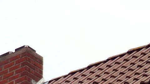 Los seguro del hogar, a veces, cubren hasta las cosas más insólitas.