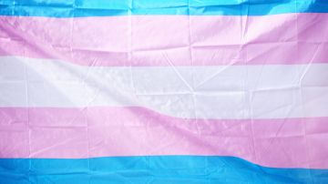 Bandera de la comunidad transgénero.