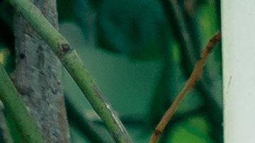 Ambas decidieron no seguir viendo a Ariel.