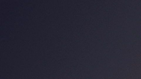 Estaban tan dolidas por la traición que decidieron acabar con su vida.