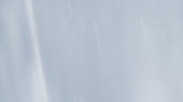 shutterstock_1134771998