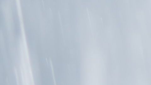 shutterstock_1134771998