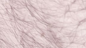 El hombre y sus padres ya habían llegado a un acuerdo.