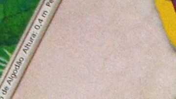 Las tarjetas se las regaló su madre. Lo curioso es que a él no le gustaban.