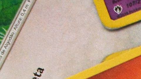 Las tarjetas se las regaló su madre. Lo curioso es que a él no le gustaban.