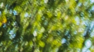 En su afán por ayudar encontró la muerte.