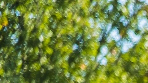 En su afán por ayudar encontró la muerte.