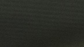 shutterstock_1631391817