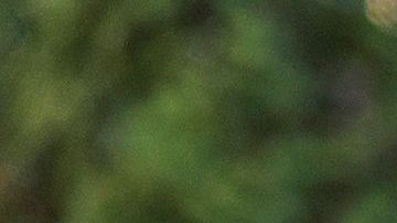 La mujer no se tentó el corazón en contra de su bebé.