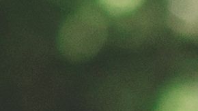 Se investiga qué sucedió antes de que la encontraran muerta.