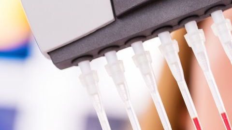 ciencia medicina cáncer sangre