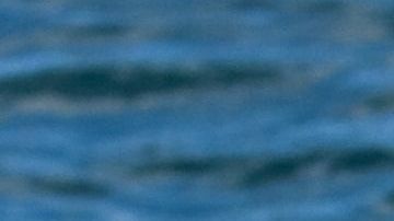 Australia es uno de los países que registra, cada año, mayor número de ataques de tiburón.