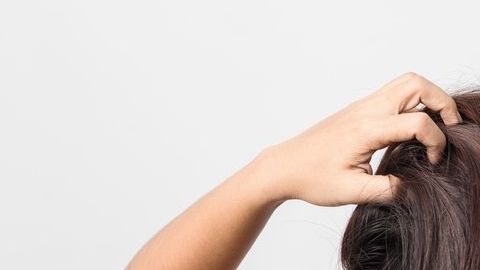 shutterstock_529259323