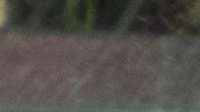 Pensó que era un hueso de pollo lo que encontró en su plato.