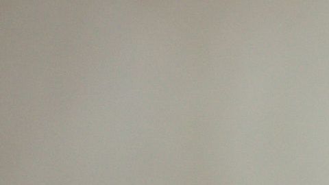 La joven dice que desde niña, disfrutaba jugar a que era un perro.