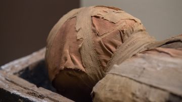 Los restos de esta mujer momificada fueron hallados en 1881, pero ahora se ha podido establecer la causa de su muerte.