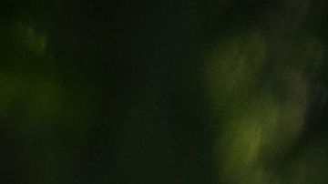 También se dice que las autoridades no le dieron el apoyo oportuno por miedo al covid.