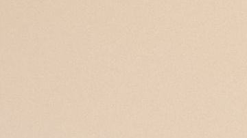 Un grupo de psicólogos intervinieron en el asunto para poder darle la noticia a la madre.