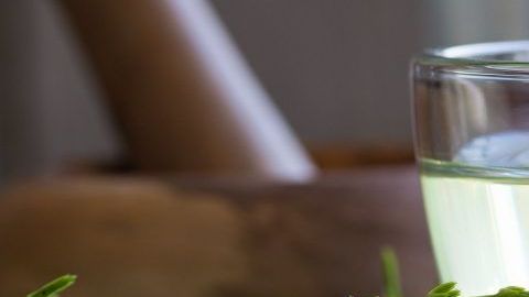 hierba cola de caballo